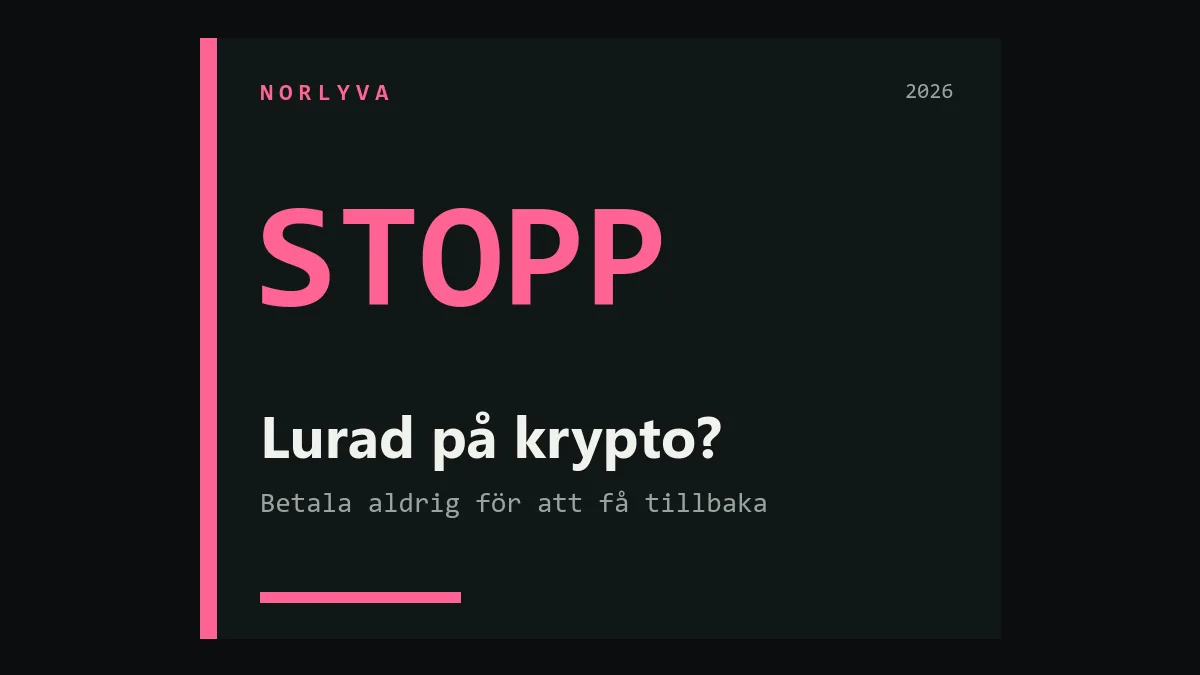 Binance-bedrägeri efter falsk investering: så agerar du när kryptot är skickat